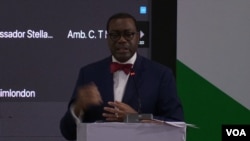 Akinwumi Adesina, president of the African Development Bank Group, called for negotiations on the $21 billion Zimbabwe debt to speed up, Nov. 25, 2024 (Columbus Mavhunga/VOA)