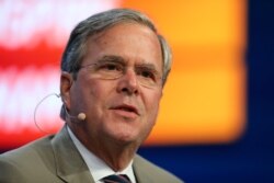 Jeb Bush
