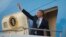 U.S. President Barack Obama waves as he boards Air Force One during his departure at Royal Australian Air Force Base Amberley, Nov. 16, 2014 in Australia. 