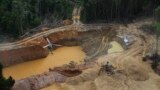 FILE - A Brazil Environmental Agency helicopter flies over an illegal mining camp during an operation to try to contain it in Yanomami Indigenous territory, Roraima state, Brazil, Feb. 11, 2023. (AP Photo/Edmar Barros, File)