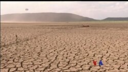 ကမ္ဘာ့ အပူဆုံးနှစ်