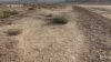 Scientists Harvest Drinking Water from Desert Air