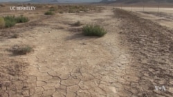 Scientists Harvest Drinking Water from Desert Air