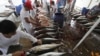 ASEAN Perkuat Kerjasama Pengelolaan Tuna