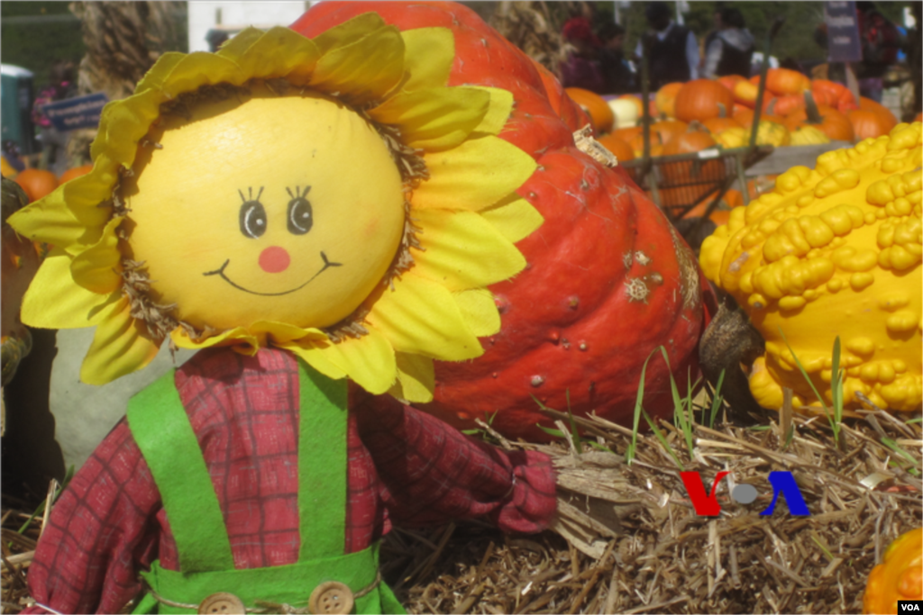 ایک &rsquo;اسکیر کرو&lsquo; پیٹھے کے سامنے 