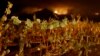 California Asks US for $7.4 Billion for Wildfire Rebuilding