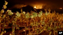 A wildfire from a distant mountain burns over a vineyard in Kenwood, California, Oct. 10, 2017. 