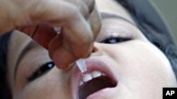 A child receives polio drops at a polio booth in the central Indian city of Bhopal, India, December 2008. (file photo)