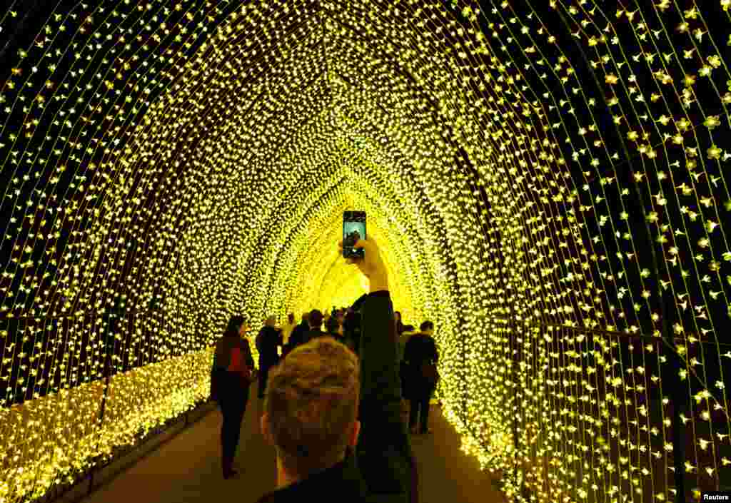 Seorang pengunjung mengambil gambar cahaya lampu-lampu di taman botani Sydney, Australia.