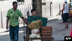 Workers transport vegetables along the streets of Havana, Aug. 2, 2017. This week, the Cuban government suspended indefinitely the granting of new work licenses for the private sector as part of a process of "improving" an area of the economy that employs more than half a million Cubans, local press reported.