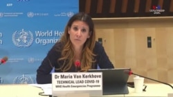 Կորոնավիրուսը Սանտային` "Ձմեռ պապին" չի խոչընդոտի շրջել աշխարհով մեկ և նվերներ բաժանել: