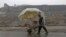FILE - A vendor pushes his makeshift cart under a plastic cover in the rain, on the outskirts of Kabul, Afghanistan, Jan. 30, 2017. 