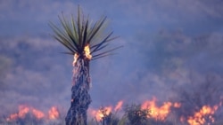 Avance Informativo 2:00 PM 