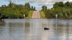 Millones de estadounidenses enfrentan un inicio de verano con temperaturas que sobrepasan las máximas históricas de los últimos 40 años.