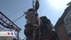 Li Akrê Paqijîya Taxên Dûrdest bi Keran Tê Kirin