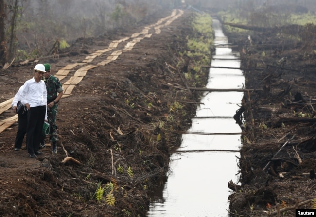 Presiden Joko Widodo menginspeksi kanal yang baru dibangun untuk mencegah kebakaran lahan gambut di Pulang Pisau, timur Palangkaraya, Kalimantan Tengah, 31 Oktober 2015. (Foto: Darren Whiteside/ Reuters)