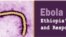ኢቦላና ኢትዮጵያ