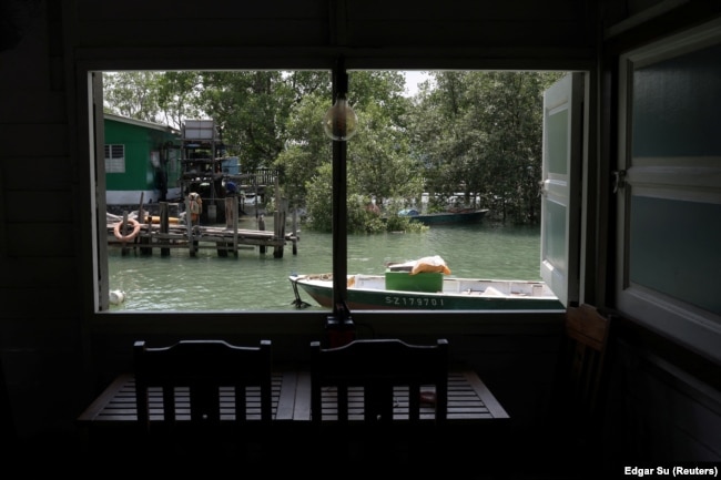 A view from the living room of a wooden stilt house on Singapore’s Pulau Ubin island, November 1, 2024. (REUTERS/Edgar Su