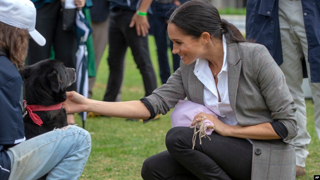 FILE - Meghan, Duchess of Sussex, pats a dog during a visit to a community picnic at Victoria Park in Dubbo, Australia, Oct. 17, 2018. Her Outland Denim jeans quickly sparked a buying fenzy.