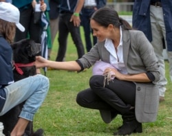 FILE - Meghan, Duchess of Sussex, pats a dog during a visit to a community picnic at Victoria Park in Dubbo, Australia, Oct. 17, 2018. Her Outland Denim jeans quickly sparked a buying fenzy.