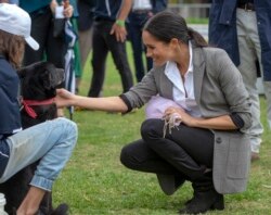 FILE - Meghan, Duchess of Sussex, pats a dog during a visit to a community picnic at Victoria Park in Dubbo, Australia, Oct. 17, 2018. Her Outland Denim jeans quickly sparked a buying fenzy.