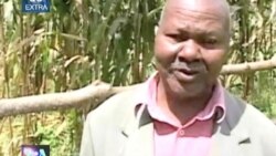 VOA 60 - Extra - Kenya Agriculture