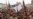 Hadi Absence Clouds US Effort to Fight Al-Qaida in Yemen