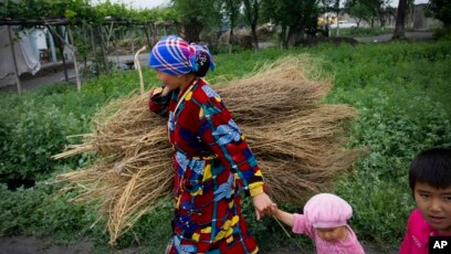 Porno qizlar rezina xorozlar kontur Shishani aylantiring porno oyinlar