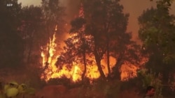 La canicule s'abat sur la capitale tunisienne