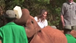 Melania Trump à la rencontre d'éléphants au Kenya (vidéo)