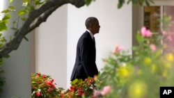 پرزیدنت اوباما از باغ گل سرخ به دفتر کارش در کاخ سفید وارد می‌شود -عکس از آرشیو