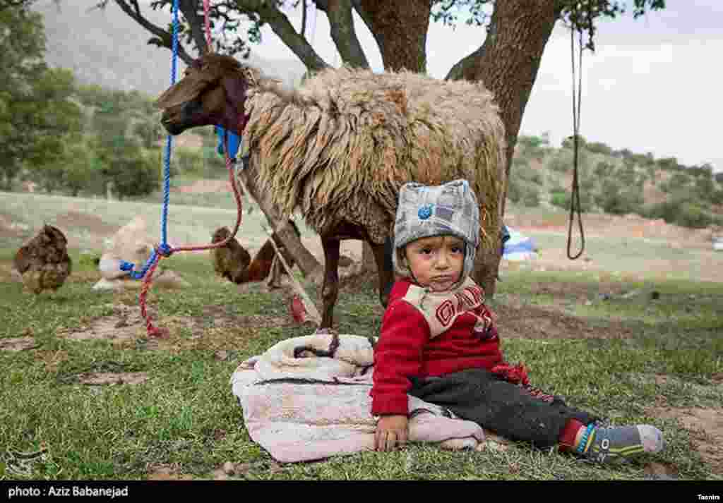 کوچ عشایر لرستان عکس: عزیز بابانژاد 