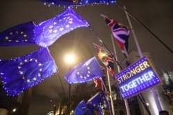 Manifestantes contrarios al Brexit protestan frente al Parlamento en Londres el 30 de enero de 2020.