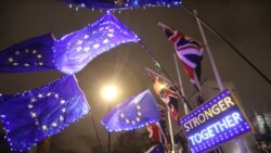 Người biểu tình chống Brexit giăng biểu ngữ và cờ EU bên ngoài Quốc hội Anh ở London, ngày 30/1/2020. REUTERS/Antonio Bronic