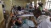 WHO: Patogen Jamur Ancaman Utama Kesehatan Masyarakat