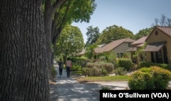 The city of South Pasadena has preserved many trees through regulations that discourage removing them.