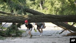 Residentes del área de Cleveland Park, en Washington, DC, esquivan uno de los tantos árboles caídos por las tormentas del viernes.