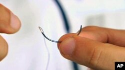 A recent study found almost 60 percent of surgical residents admitted they had sustained needlestick injuries when they were medical students. Blunt tip needles, such as this one, are considered safer