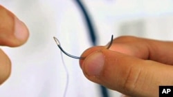A recent study found almost 60 percent of surgical residents admitted they had sustained needlestick injuries when they were medical students. Blunt tip needles, such as this one, are considered safer