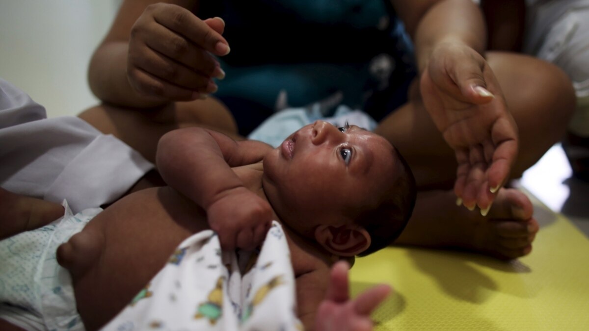 Can Scientists Prove Zika Virus Causing Birth Defects 