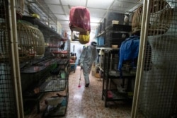 A worker sprays disinfectant as a precaution against the new coronavirus at Chatuchak Market in Bangkok, Thailand, on March 20, 2020.