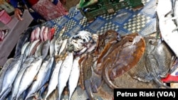 Beberapa jenis ikan laut yang dijual di pasar ikan Muncar, Banyuwangi. (Foto:VOA/Petrus Riski)