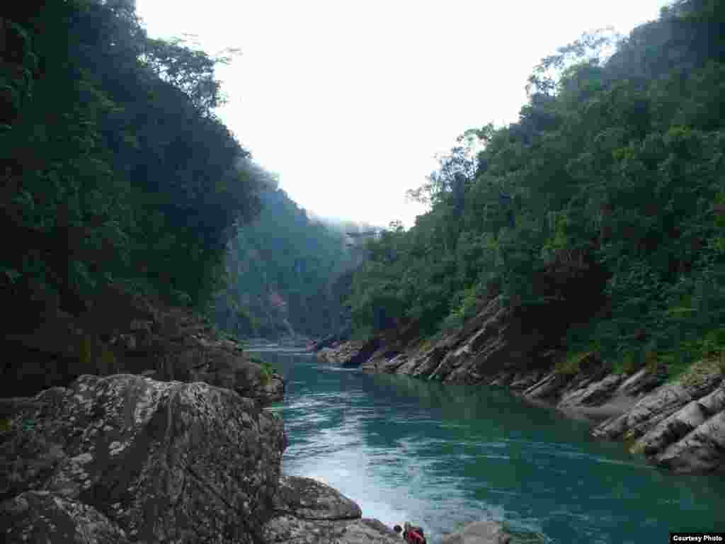 Clear waters run through the unpolluted Andean forest. (Greg Asner)