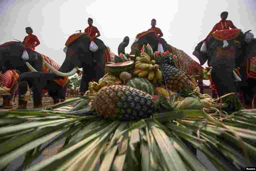 Elephants enjoy a &quot;buffet&quot; of fruit and vegetables during Thailand&#39;s National Elephant Day in the ancient Thai capital Ayutthaya. Thais honored the elephant with special fruits and Buddhist ceremonies across the country to pay homage to their national animal.