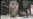 16x9 Image