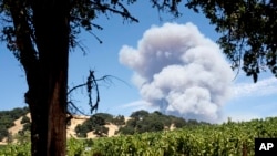 Smoke billows behind a vineyard in Hopland, California, as the River Fire burns, July 30, 2018. 