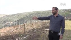 Israel Palestinians Gulf Trade -- USAGM