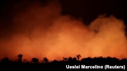 Miles de incendios forestales que arden en la selva amazónica amenazan con eliminar grandes partes de un ecosistema vital e insustituible.