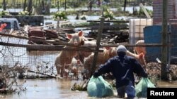 Aftermath of widespread flooding in Western Cape