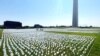 USA, Washington, Memorial for Covid victims